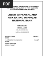 Download Report_-_Credit_Appraisal_PNB by Amit Kumar SN49449249 doc pdf