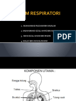 Sistem Respiratori