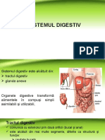 S.digestiv
