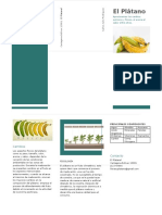 Act 1 Agro Plat Folleto Carlos