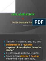 INFLAMMATION: A Protective Response to Injury