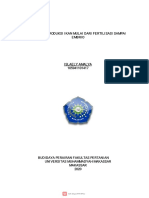 PROSES REPRODUKSI IKAN MULAI DARI FERTILISASI SAMPAI EMBRIO (Islaely Amalya 105941101417)