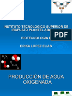 Produccion de Agua Oxigenada - 110924151459-Phpapp02