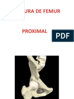 Femur Proximal