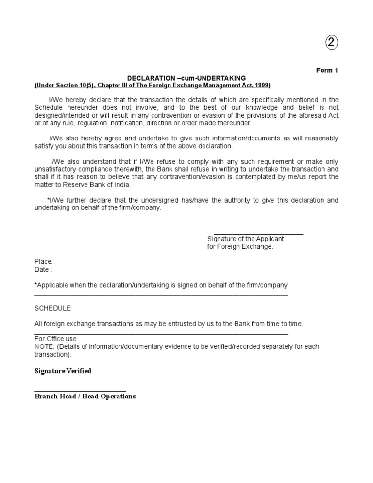 FEMA Declaration Undertaking Form | PDF