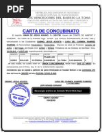 CONSEJO COMUNAL FORMATO MODELO EJEMPLO CARTA AVAL