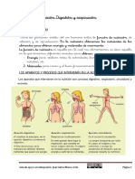 La Nutricion-Respiracion 6P Adaptado