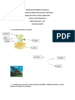 Partes de Una Planta