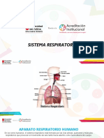 Laura Chaves Sistema Respiratorio