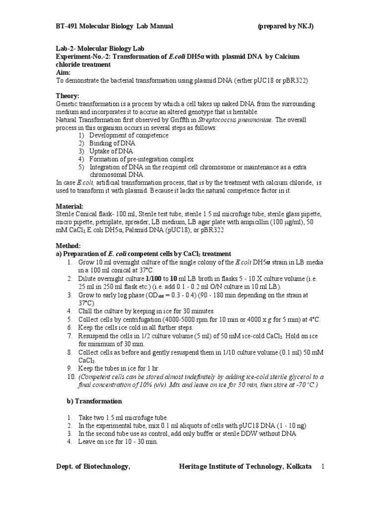 E. coli Transformation with Plasmid DNA | PDF | Transformation ...