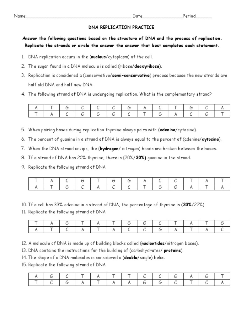 DNA Replication Worksheet  PDF Regarding Dna Replication Worksheet Answers