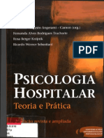 Psico Hospitalar - Teoria e Prática