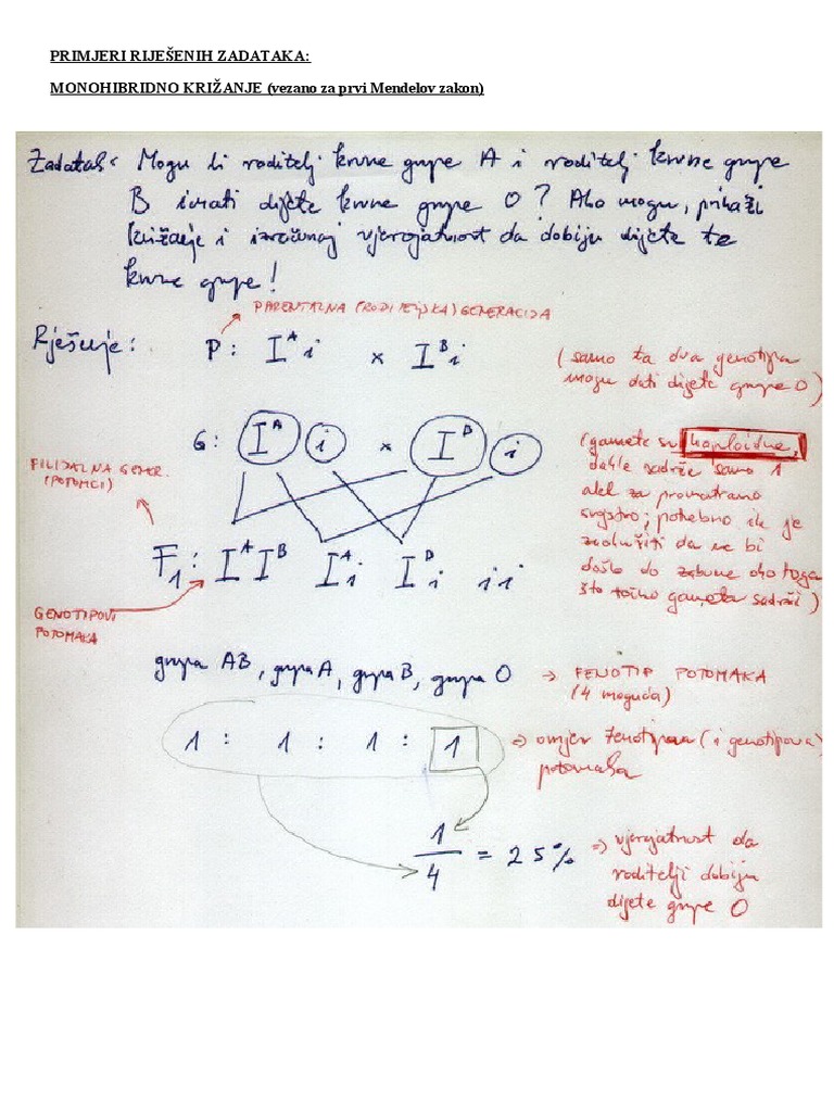 PRIMJERI | PDF