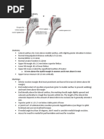 Alfredson Heel Drop Protocol | PDF | Soft Tissue | Limbs (Anatomy)