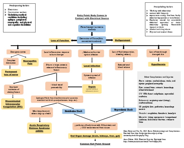 Pathophysiology of Electrical Burns | PDF | Burn | Edema