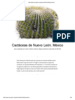 Cactáceas de Nuevo León