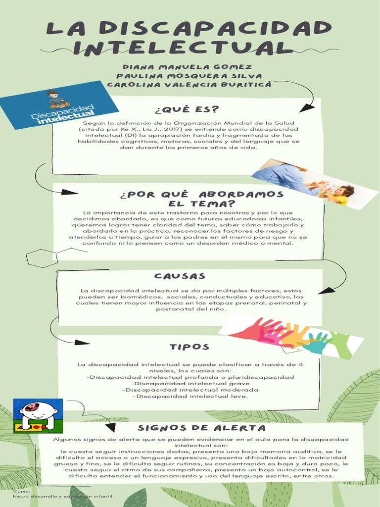 La Discapacidad Intelectual | PDF | Discapacidad intelectual | Invalidez