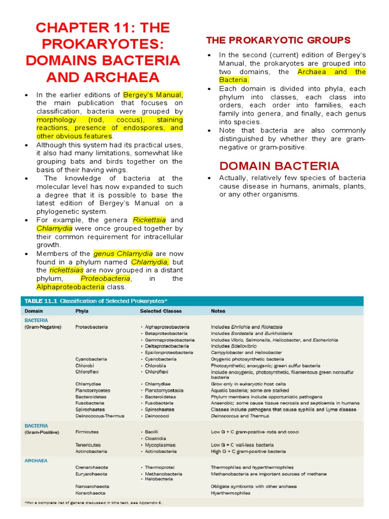 Prokaryotes: Bacteria and Archaea Overview | PDF | Salmonella | Pseudomonas