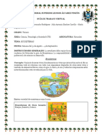 Guía Naturales Tercer Periodo