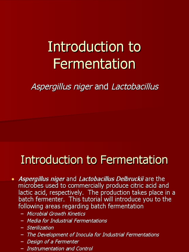 Fermentation 2004 | PDF | Fermentation | Microorganism