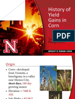 History of Corn Yield