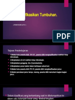 Mengklasifikasikan Tumbuhan , Pert 6