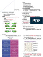 Dsdna Circular Form 1,000 Microns 4,000 KB: Genes