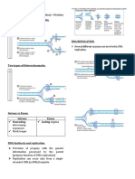 Central Dogma of Genetics