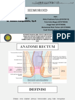 Hemoroid 2