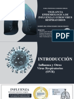 Vigilancia Epidemiológica de La Influenza y Ovr-Grupo V