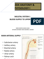 Human Anatomy & Physiology I - Skeletal System 1 Blood Supply to Upper Limb