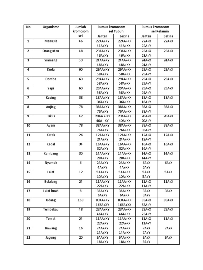 Katta kokrak bilan Blowjob