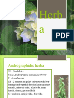 Herba (1)