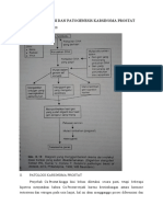 Patofisiologi Ca Prostat