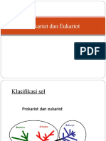 Prokarioteukariot