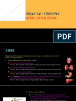 Sistem Organ Kehidupan