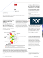 Planetary Boundaries