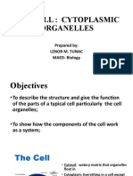 The Cell: Cytoplasmic Organelles: Prepared By: Lenor M. Tunac MAED-Biology