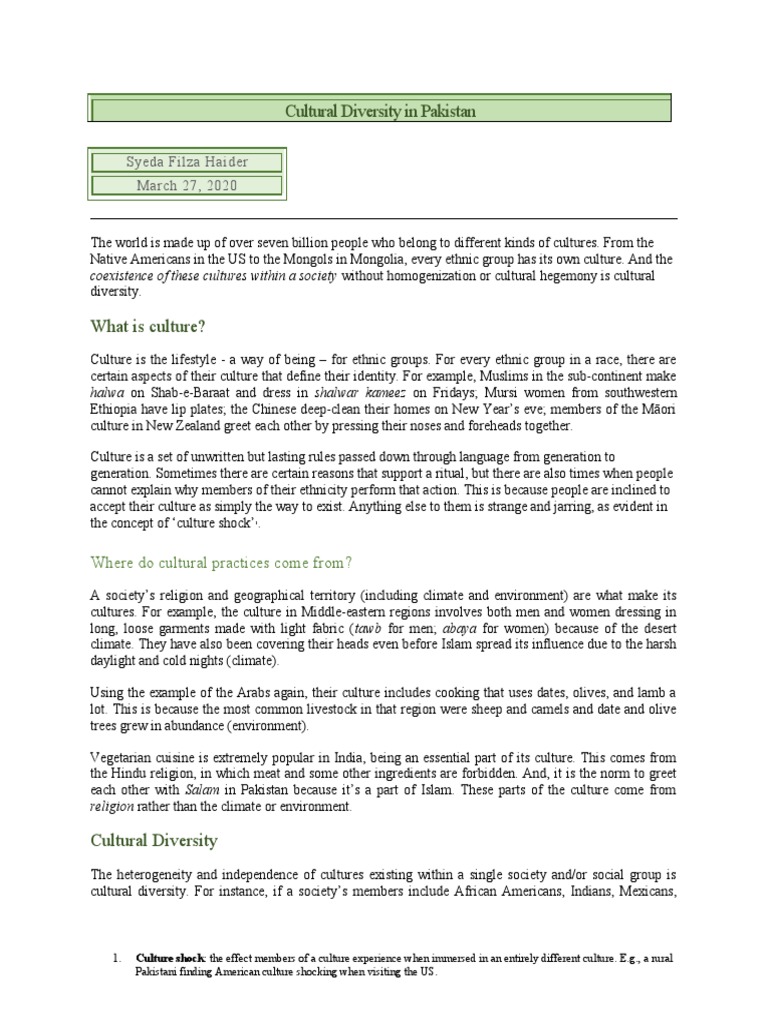 Cultural Diversity in Pakistan Explained | PDF | Pakistan | Pashtuns