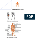 EVALUACIÓN SISTEMA MUSCULAR Fitness