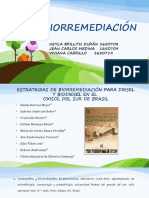 BIORREMEDIACIÓN