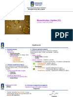 LIPIDOS (II) Insaponificables. Terpenos. Esteroides y Lipoproteínas (2729)