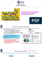 Bases Nitrog. Nucleosid, Nucleot y Ac Nucleicos. Sint y Degradac