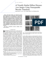 Characterization of Visually Similar Diffuse Diseases From B-Scan Liver Images Using Nonseparable Wavelet Transform