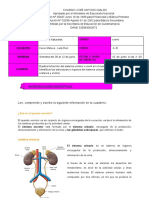 09 Junio Ciencias - Documentos de Google