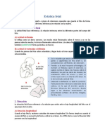 Estática Fetal