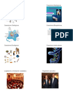 Caracteres Morfológicoscaracteres Fisiológicos
