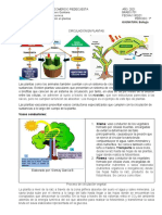 Guìa Circulaciòn Vegetal 7º