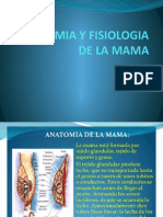 Anatomía y fisiología de la mama