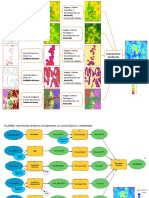 Poster - Proceso SP